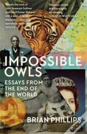 Capa do artigo Impossible Owls