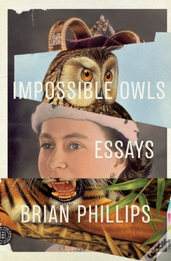 Capa do artigo Impossible Owls