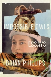 Capa do artigo Impossible Owls