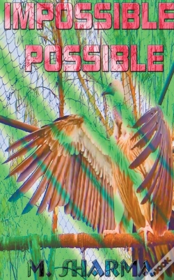 Capa do artigo Impossible Possible