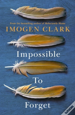 Capa do artigo Impossible To Forget