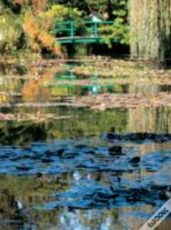 Capa do artigo Impressionists In Their Gardens