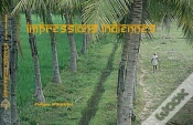 Capa do artigo Impressions Indiennes