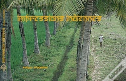 Capa do artigo Impressions Indiennes