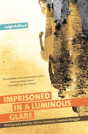 Imprisoned In A Luminous Glare - Preview