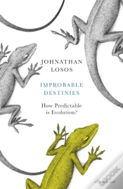 Capa do artigo Improbable Destinies