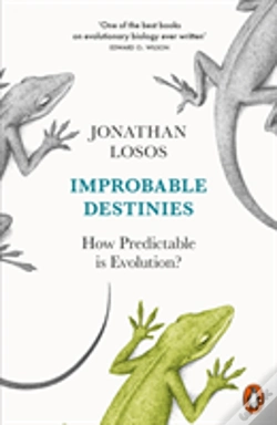 Capa do artigo Improbable Destinies