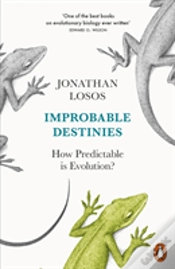 Capa do artigo Improbable Destinies