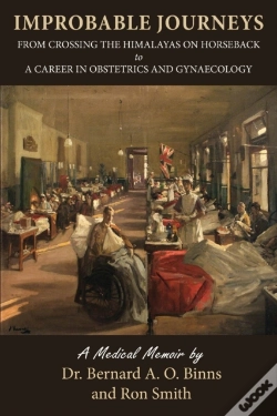 Capa do artigo Improbable Journeys