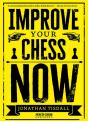 Improve Your Chess Now - Preview
