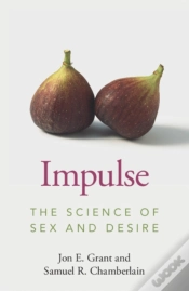 Capa do artigo Impulse