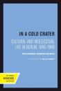 In A Cold Crater - Preview