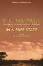 In A Free State - Preview