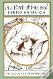 Capa do artigo In A Patch Of Fireweed