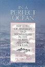 In A Perfect Ocean - Preview