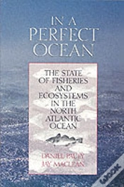 Capa do artigo In A Perfect Ocean