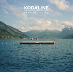 Capa do artigo In a Perfect World - CD