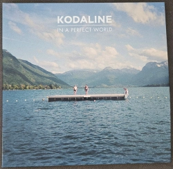 Capa do artigo In A Perfect World - Vinil