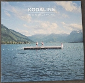 Capa do artigo In A Perfect World - Vinil