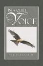 In A Quiet Voice - Preview