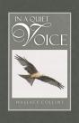 In A Quiet Voice - Preview