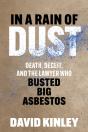 In A Rain Of Dust - Preview