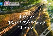 In A Rainforest Tree