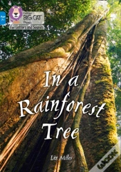 Capa do artigo In A Rainforest Tree