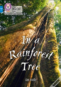 Capa do artigo In A Rainforest Tree