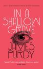 In A Shallow Grave (Valancourt 20th Century Classics) - Preview