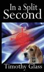 In A Split Second - Preview