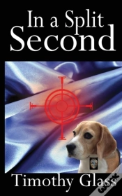 Capa do artigo In A Split Second