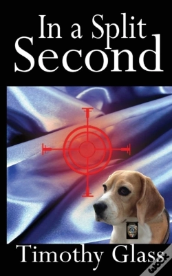 Capa do artigo In A Split Second