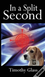 Capa do artigo In A Split Second