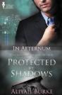 In Aeternum: Protected By Shadows - Preview