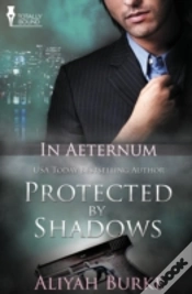 Capa do artigo In Aeternum: Protected By Shadows