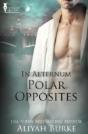 In Aeturnum: Polar Opposites - Preview