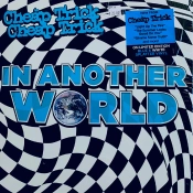 Capa do artigo In Another World - Vinil