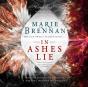 In Ashes Lie - Preview