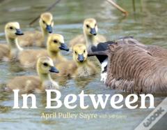 In Between