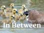 In Between - Preview