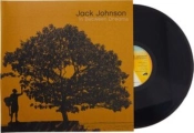 Capa do artigo In Between Dreams - Vinil