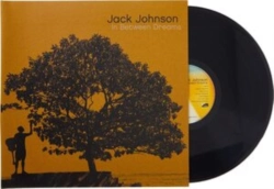 Capa do artigo In Between Dreams - Vinil