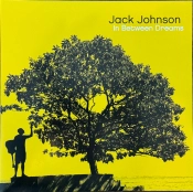 Capa do artigo In Between Dreams - Vinil