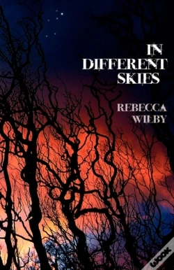 Capa do artigo In Different Skies