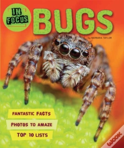 Capa do artigo In Focus: Bugs