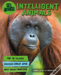 Capa do artigo In Focus: Intelligent Animals