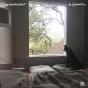 In Glendale - Vinil - Preview