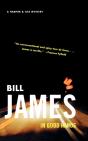 In Good Hands - A Harpur & Iles Mystery - Preview