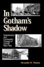 In Gotham'S Shadow - Preview